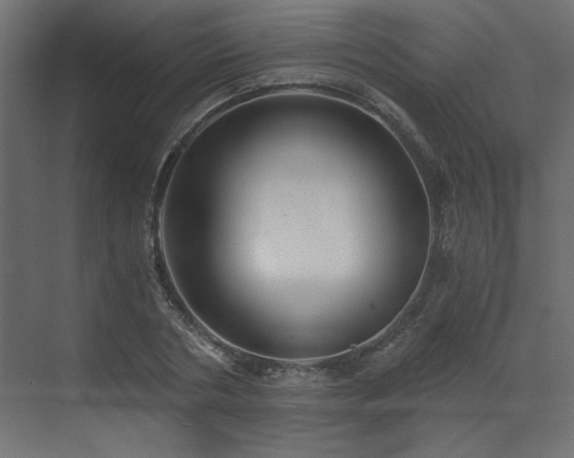 X0000073490786200607311225