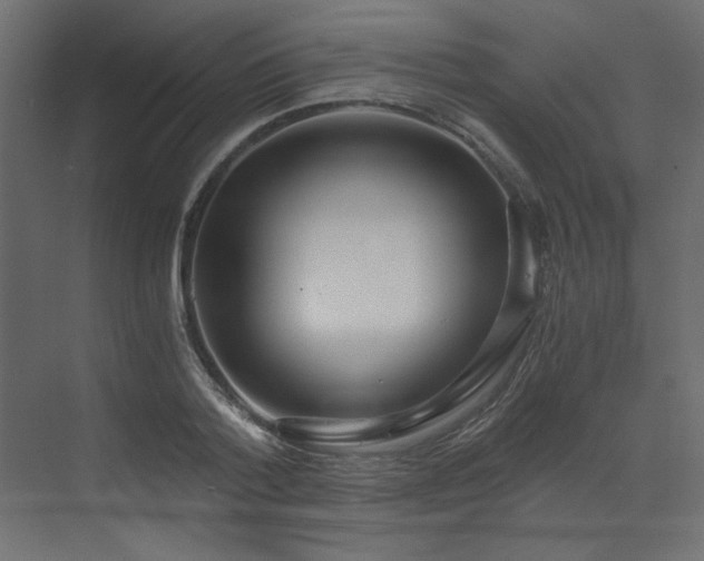 X0000073490788200607311225