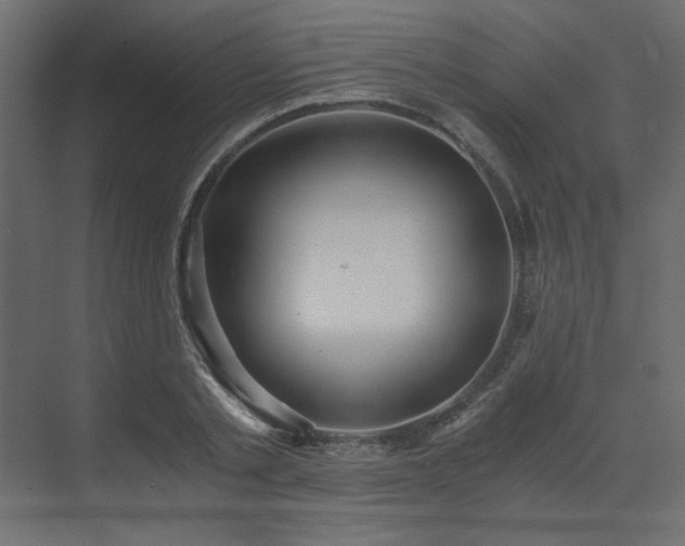 X0000073490789200607311225