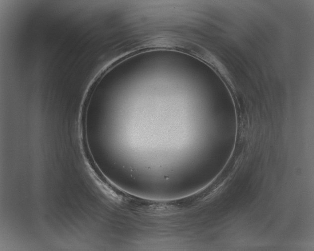 X0000073490795200607311225