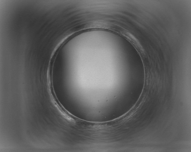 X0000073490796200607311225