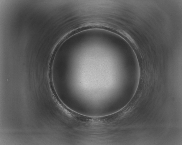 X0000073490799200607311225