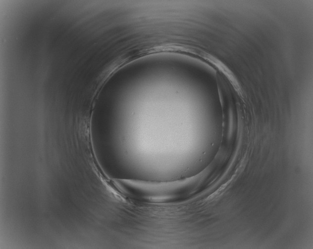 X0000073490809200607311225