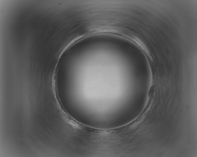 X0000073490814200607311225