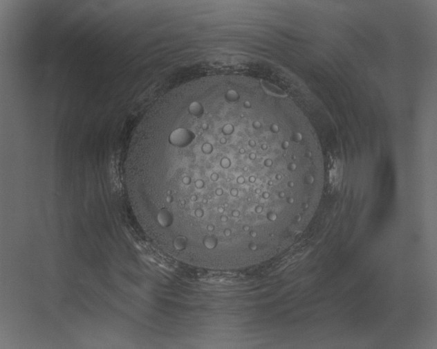 X0000073490819200607311224