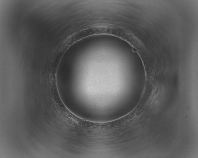 X0000073490821200607311224