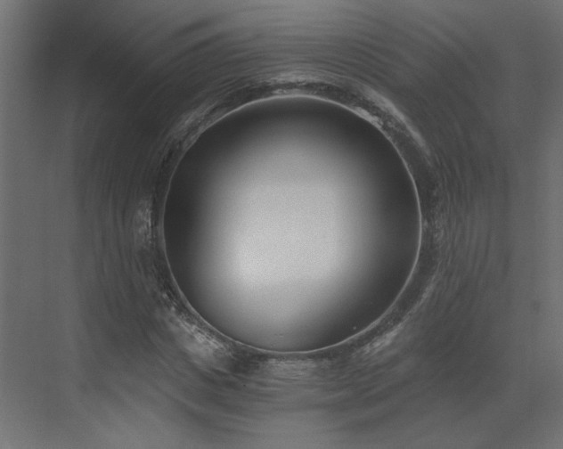 X0000073490825200607311224