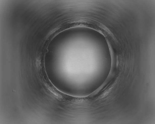 X0000073490826200607311224