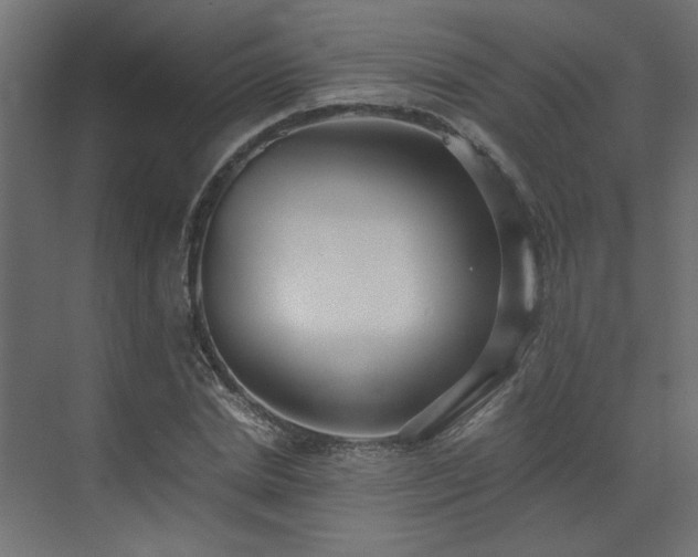 X0000073490830200607311224