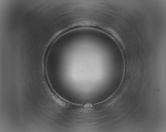 X0000073490837200607311224