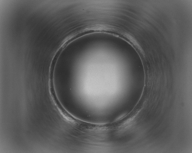 X0000073490845200607311224