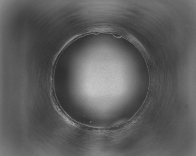 X0000073490852200607311224