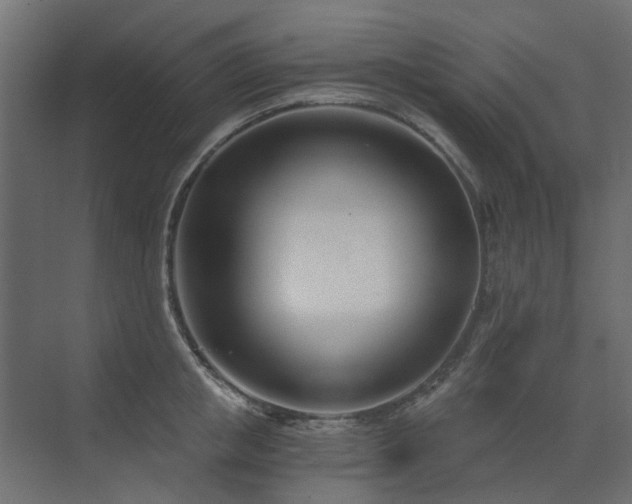 X0000073490853200607311224