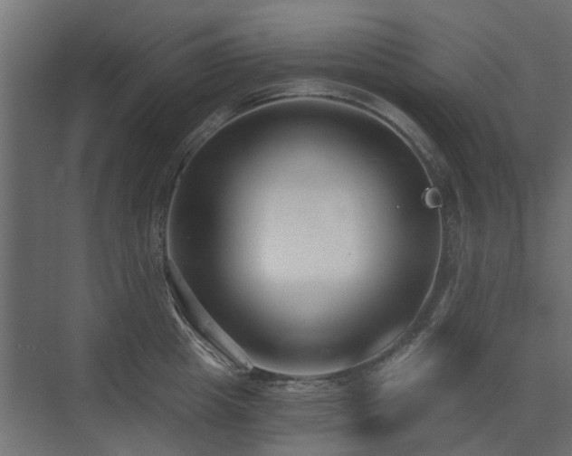 X0000073490857200607311225