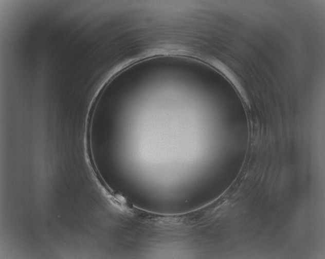 X0000073490861200607311225