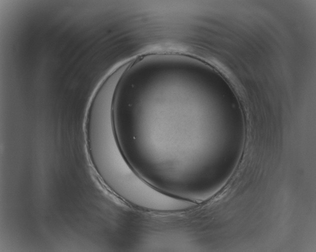 X0000073490864200607311225