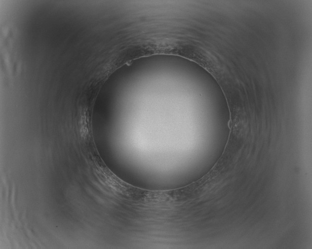 X0000073490866200607311224