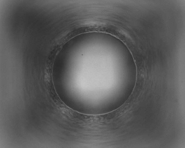 X0000073490869200607311224