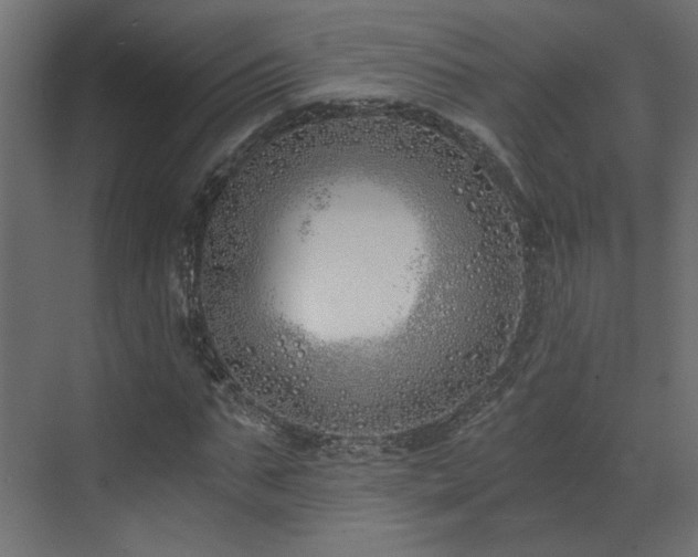 X0000073490871200607311224