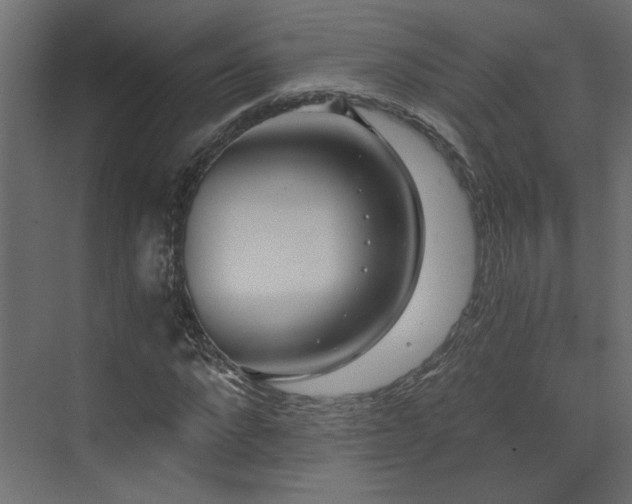 X0000073490872200607311224