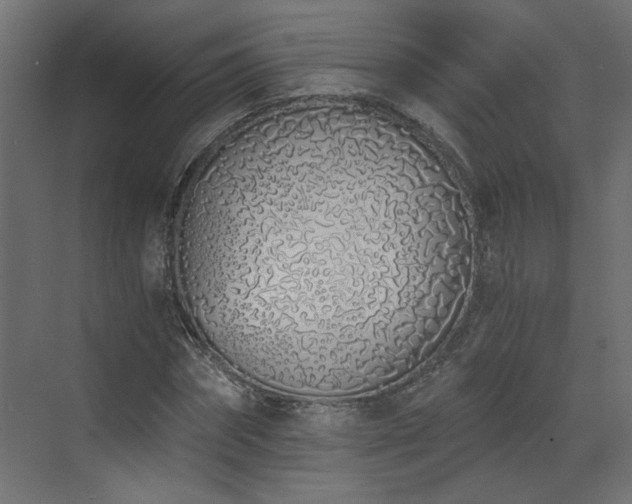 X0000073490874200607311224