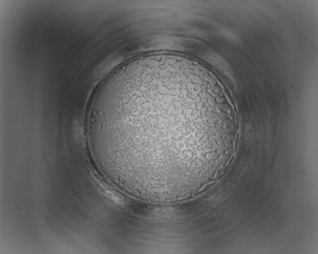 X0000073490882200607311224