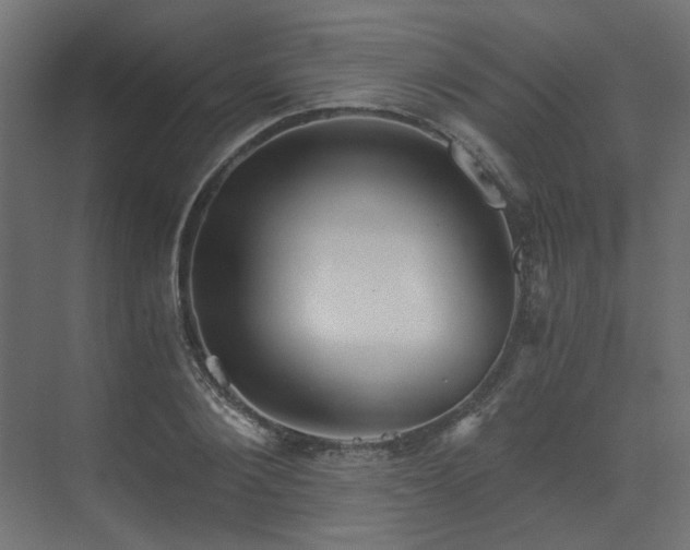 X0000073490884200607311224
