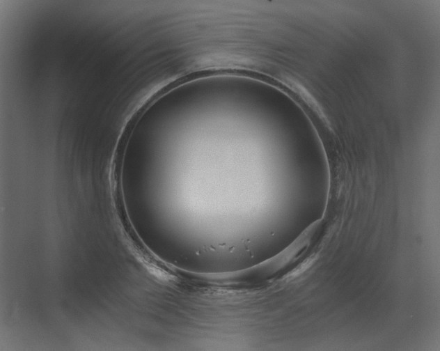 X0000073490885200607311224