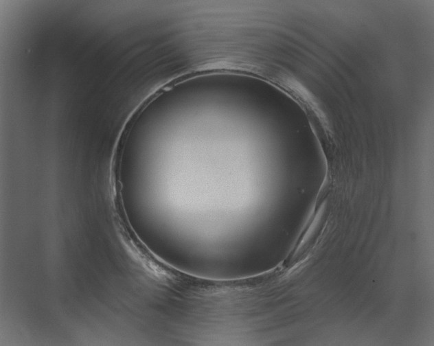 X0000073490892200607311223