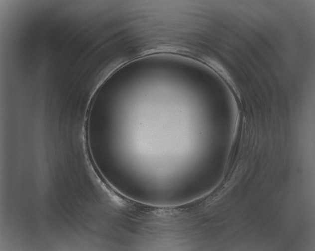 X0000073490906200607311223