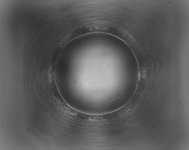 X0000073490915200607311222