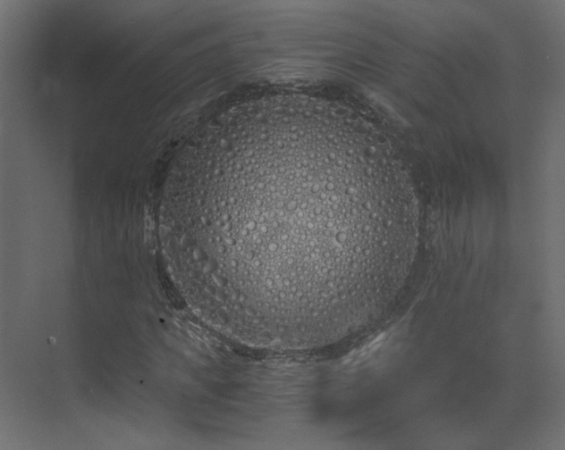 X0000073490917200607311222