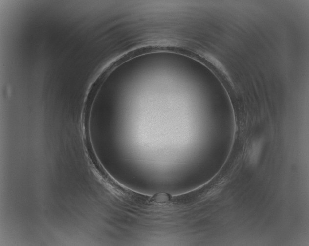 X0000073490935200607311223