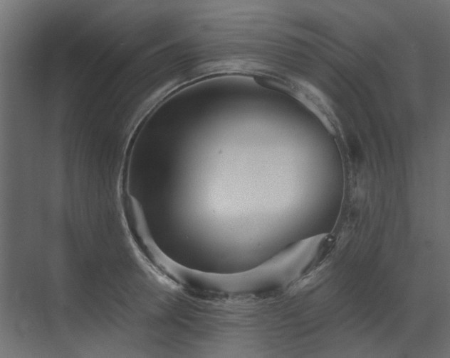 X0000073490946200607311223