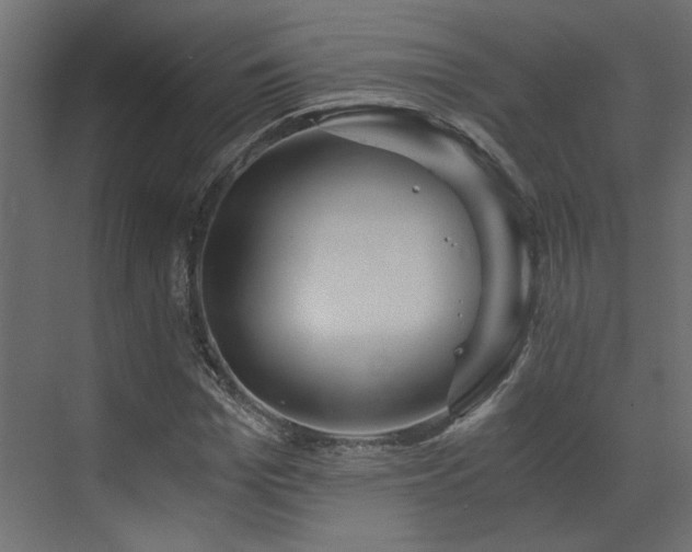 X0000073490969200607311222