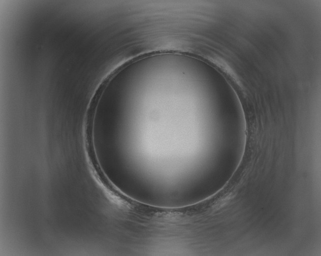 X0000073490991200607311222