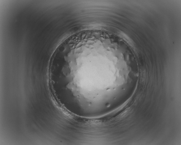 X0000073490994200607311222