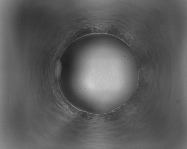 X0000073491009200607311221