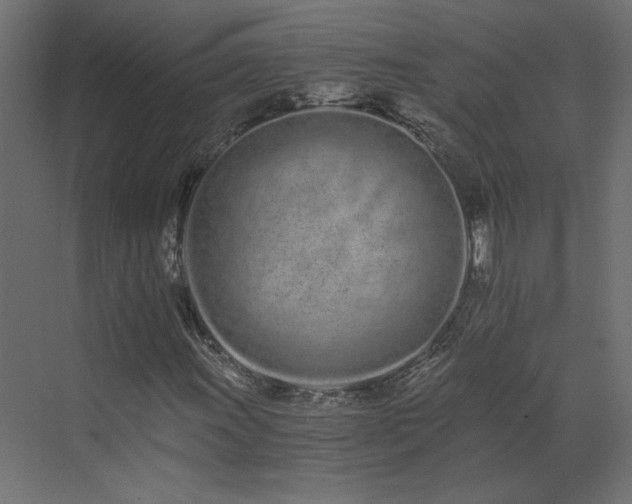 X0000073491011200607311221