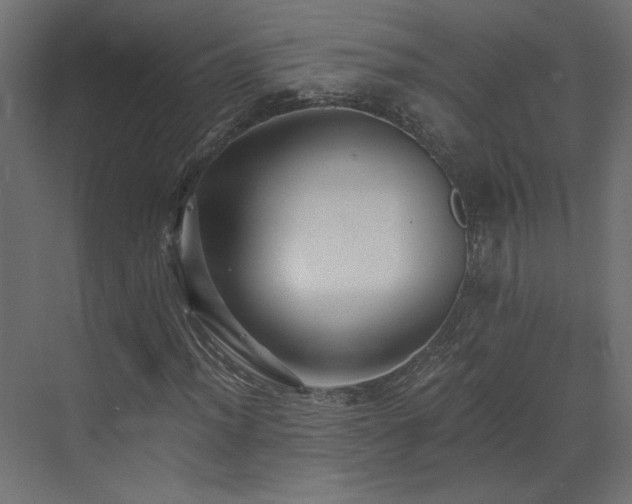 X0000073491012200607311221