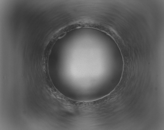 X0000073491016200607311221