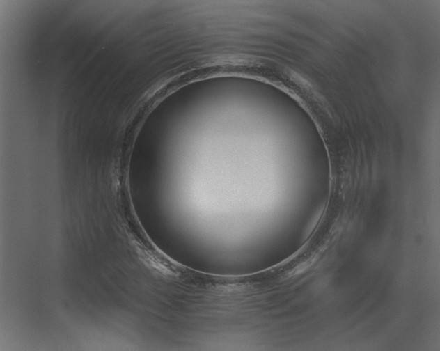 X0000073491017200607311221