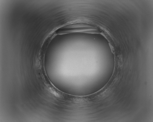X0000073491018200607311221