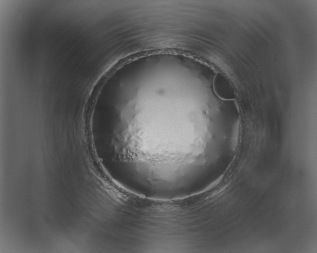 X0000073491023200607311221
