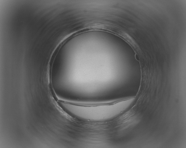 X0000073491036200607311221