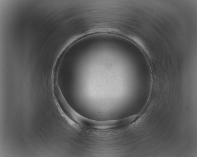 X0000073491046200607311221