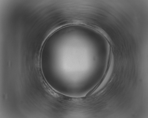 X0000073491052200607311221