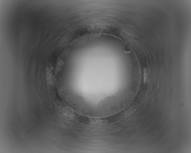 X0000073491059200607311221