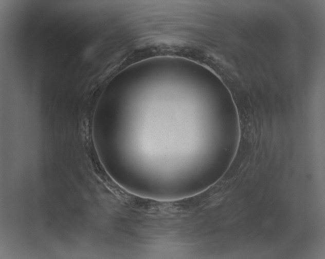 X0000073491061200607311220