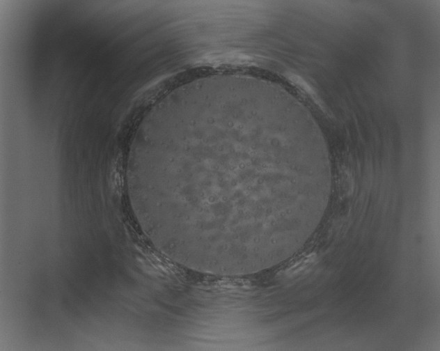 X0000073491063200607311220